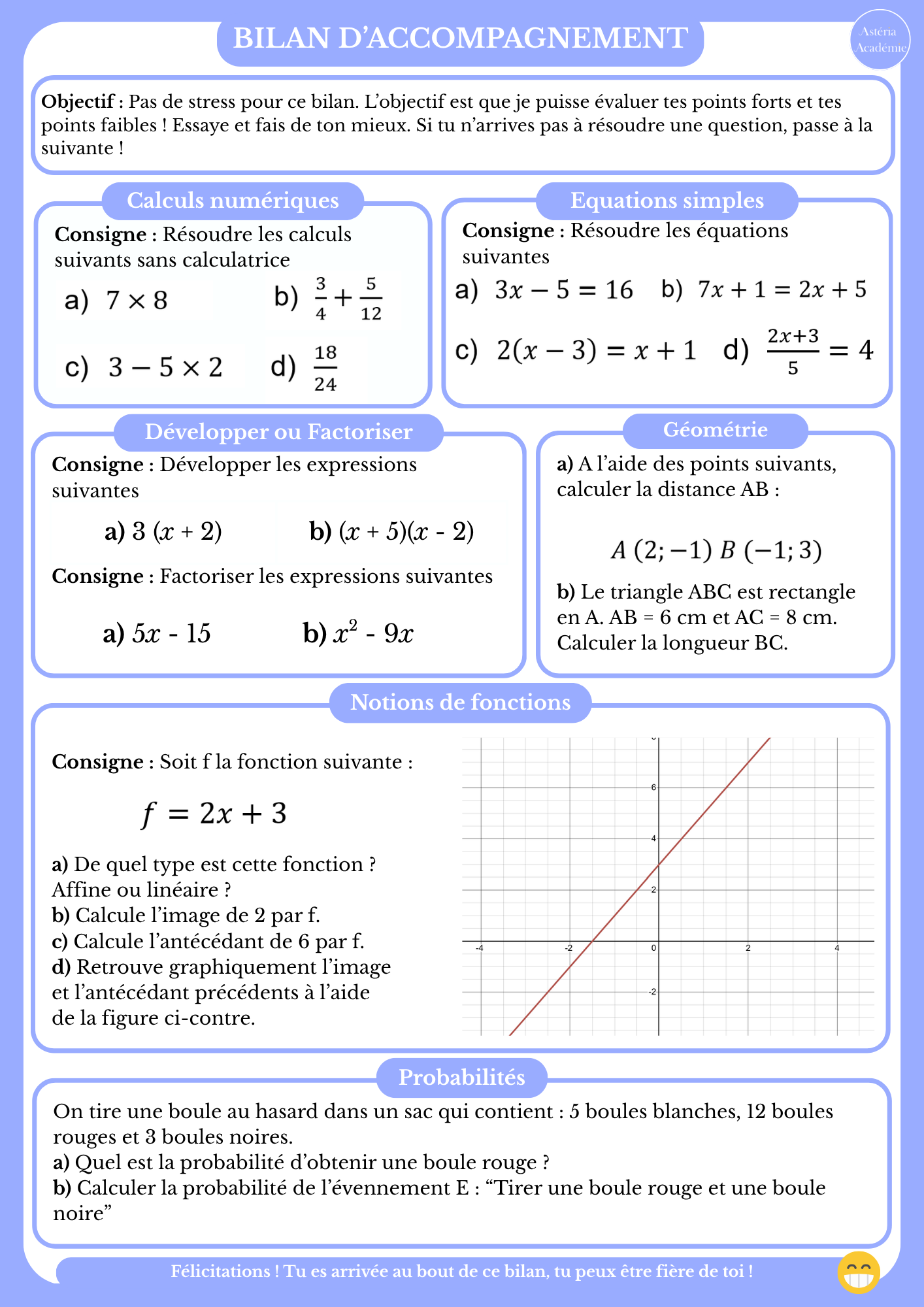 Exemple de bilan d'accompagnement en mathématiques, niveau 3e / 2nde : calculs numériques, équations simples, développer ou factoriser, géométrie, notions de fonctions et probabilités.